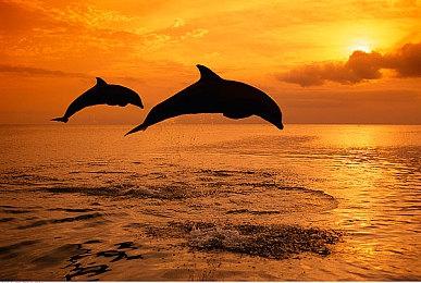 任天堂更换伦敦地铁广告 《银河战士Prime 4》发售日改正为“2025”