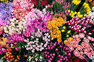 《炉石传说》官方发布动画 “暴风城下的集结”更新卡牌前瞻